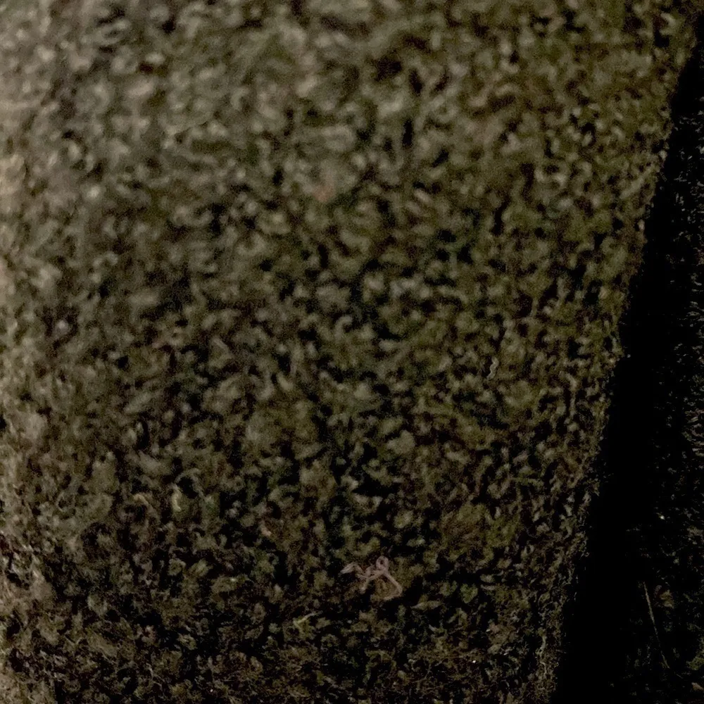 Bloomingdale’s Black wool teddy jacket and lace skirt suit. MIDI length. Size 10 - Image 6