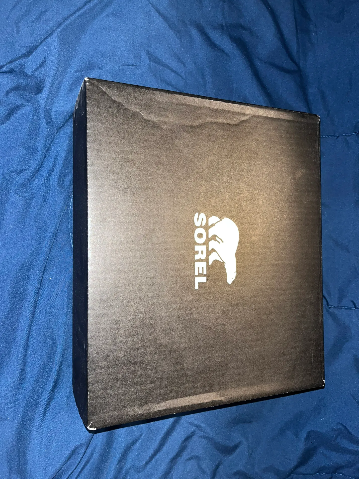 Sorel Booties - New In Box - Image 4
