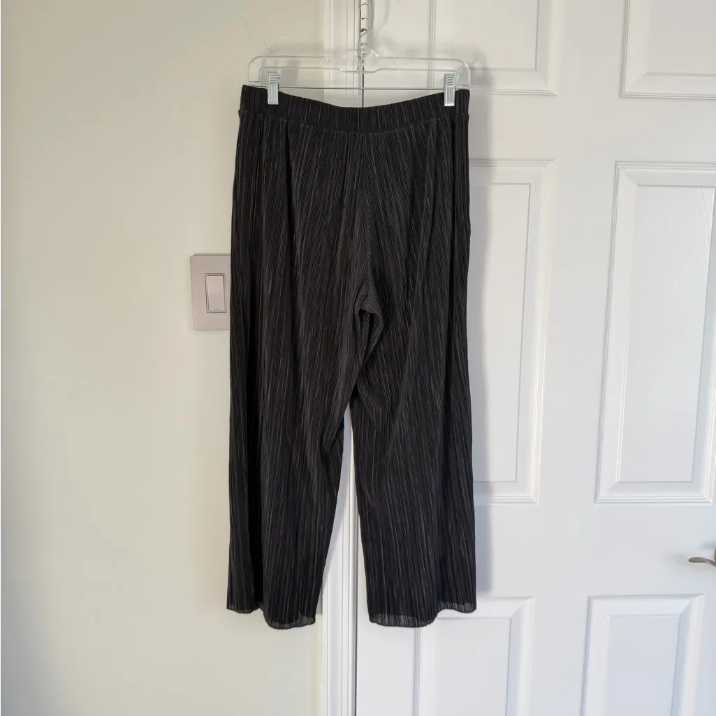 Madewell Women’s Accordion Pleated Wide Ankle Pant Small Black Preppy Work - Image 5