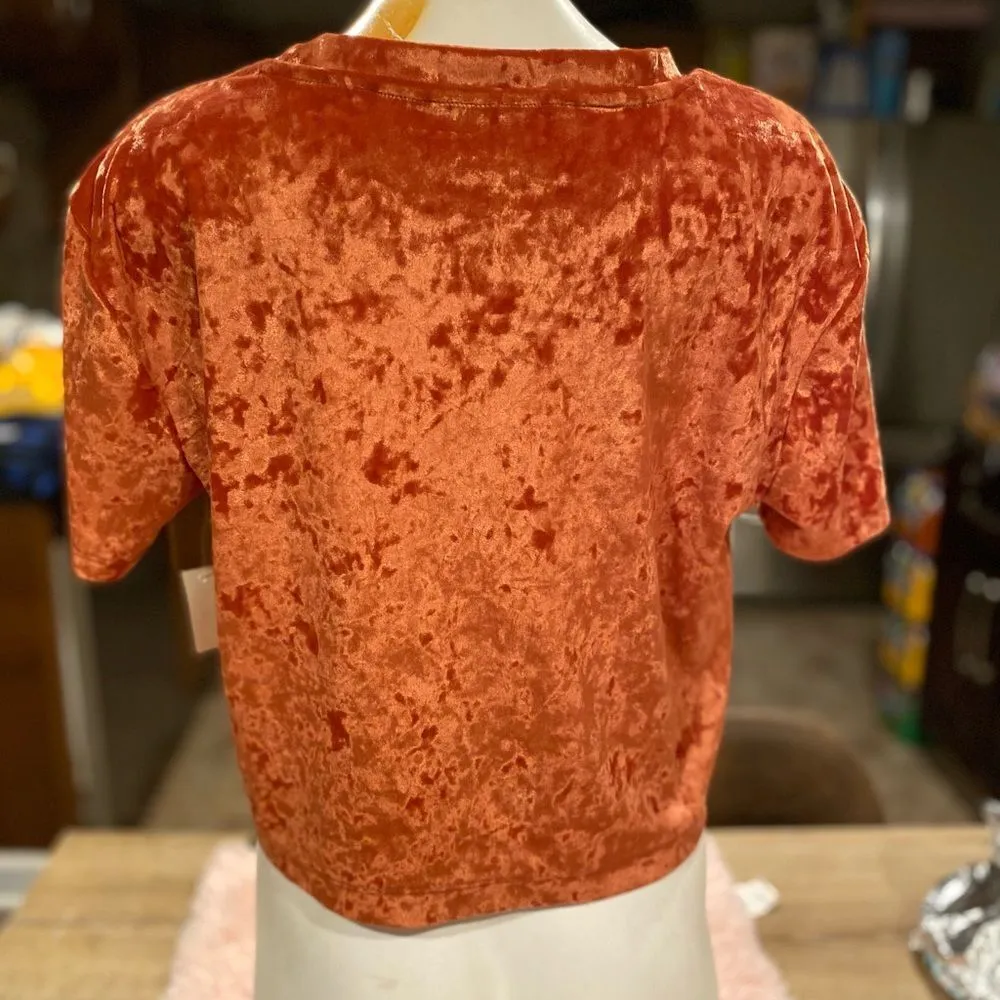 Aeropostal velvet blouse - Image 2