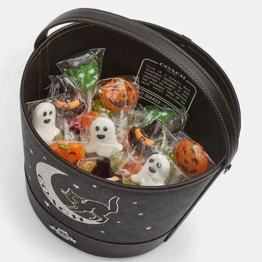 Authentic Coach Signature/Smooth leather w Celestial Cat Design bucket shoulder - Image 15