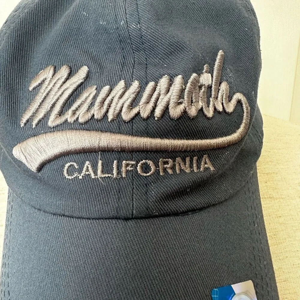 MV Sport blue mammoth baseball hat - Image 2