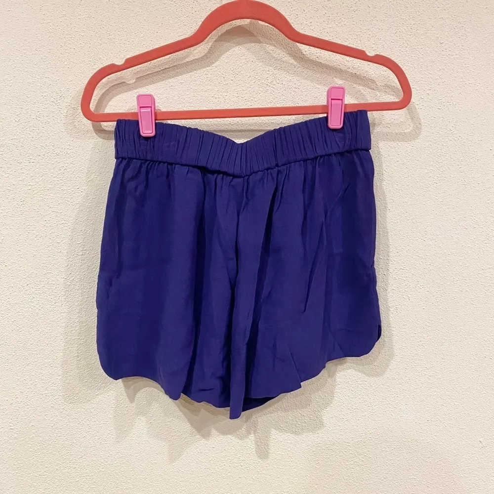 IRO  Purple Gaely Shorts Size Medium EUC - Image 4