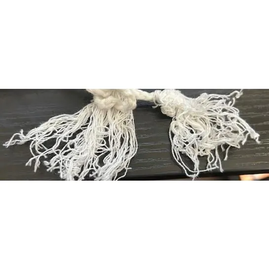 American‎ Eagle Cropped Crochet Halter Top XS Boho Y2K Festival - Image 6