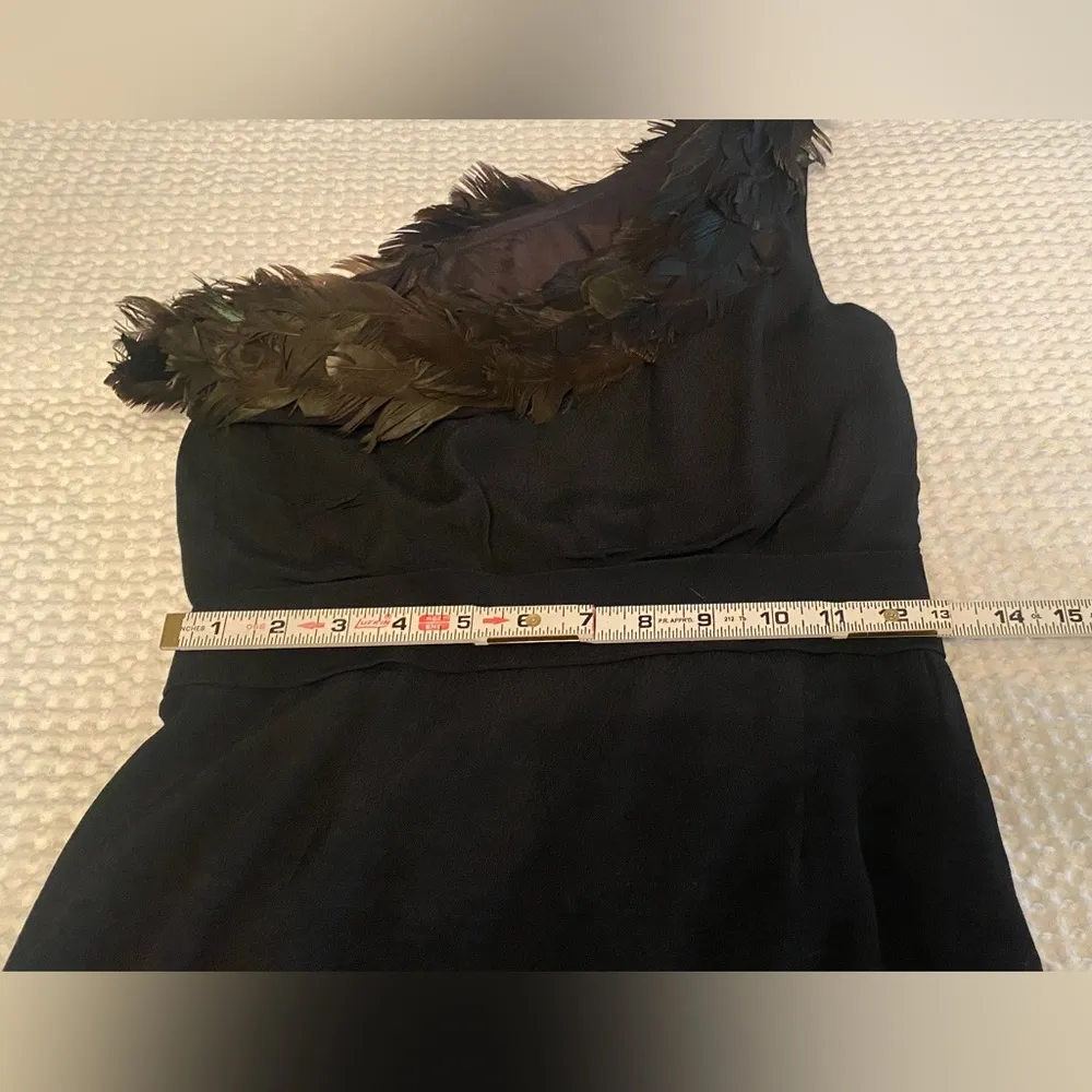 Dress Womens 0 Black Feather Trim One Shoulder Helena
Draped Mini - Image 12