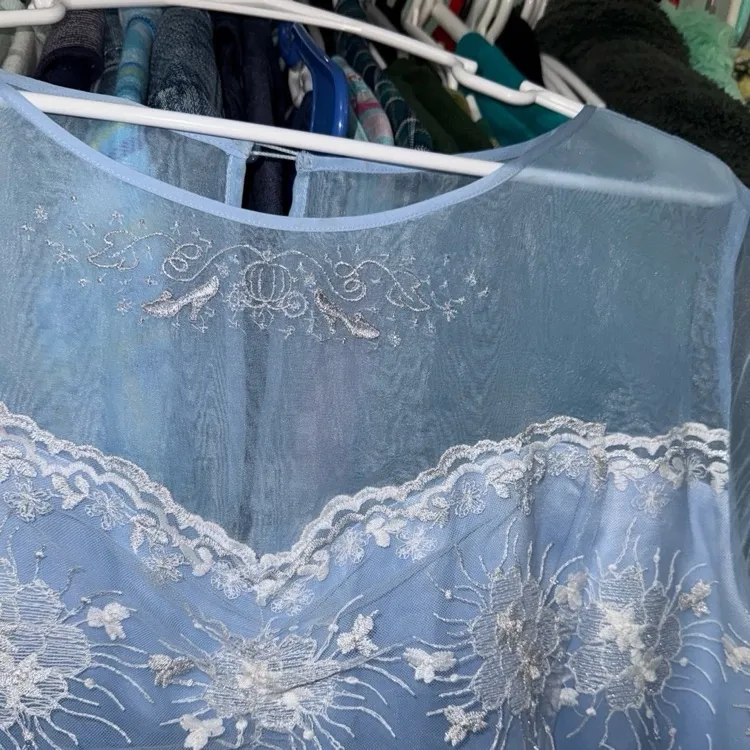 Disney parks Cinderella cosplay embroidered dress shop dress XL - Image 3