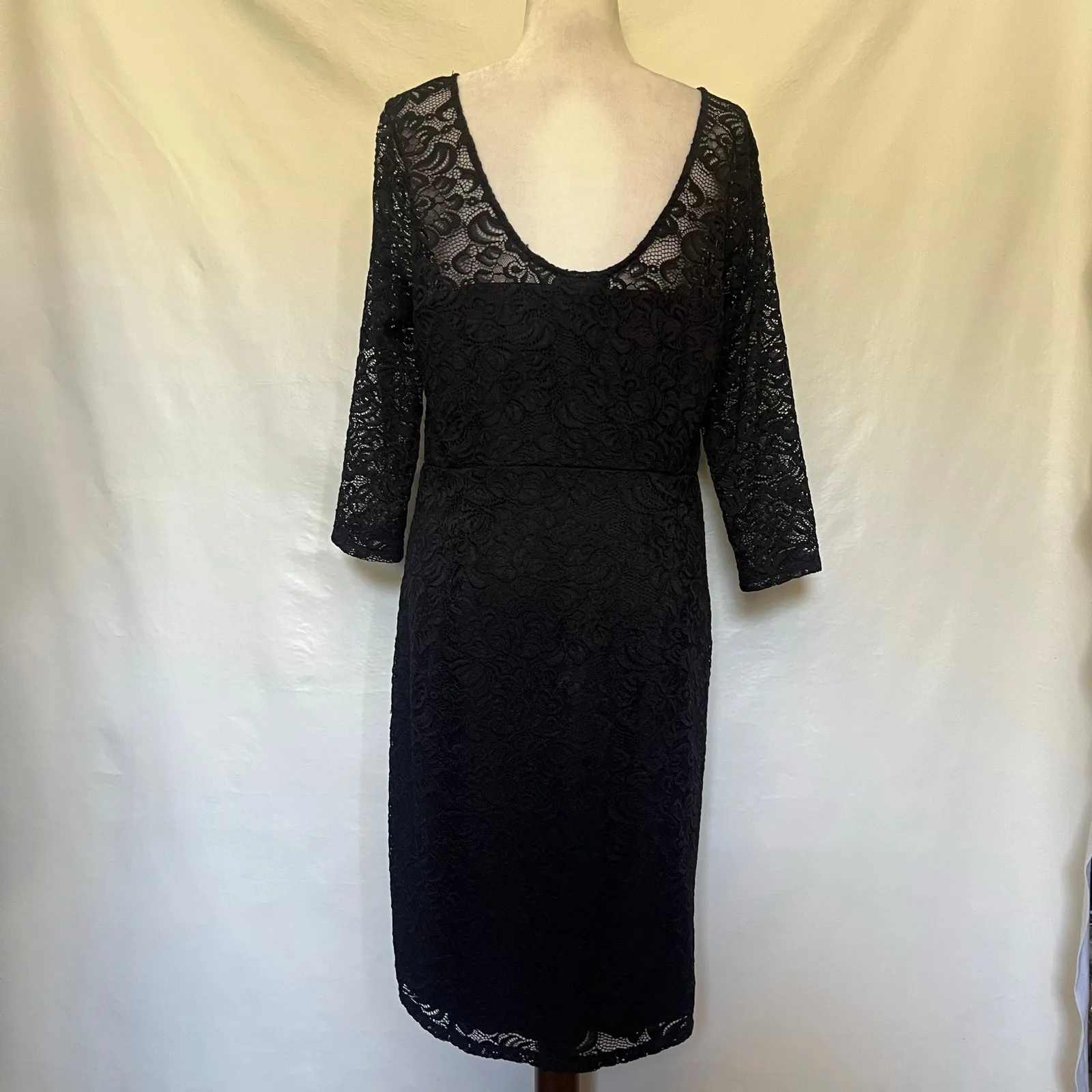 Bold Elements Lace Sheath Dress Sz XL Whimsigoth Witchy Gothic Formal  Romantic - Image 8