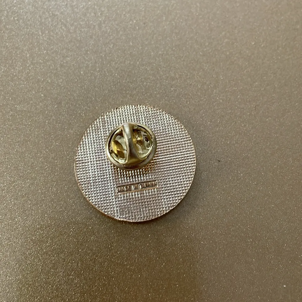 Vintage Albuquerque New Mexico Balloon Festival Souvenir Pin Blue - Image 2