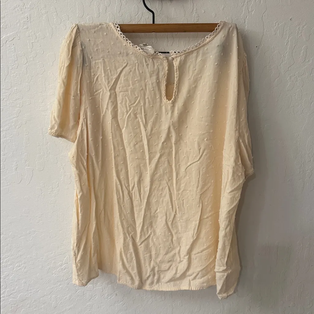 Flower & Feather Plus Size 2XL Cream Yellow Swiss Dot Lace Blouse Short Sleeve - Image 5