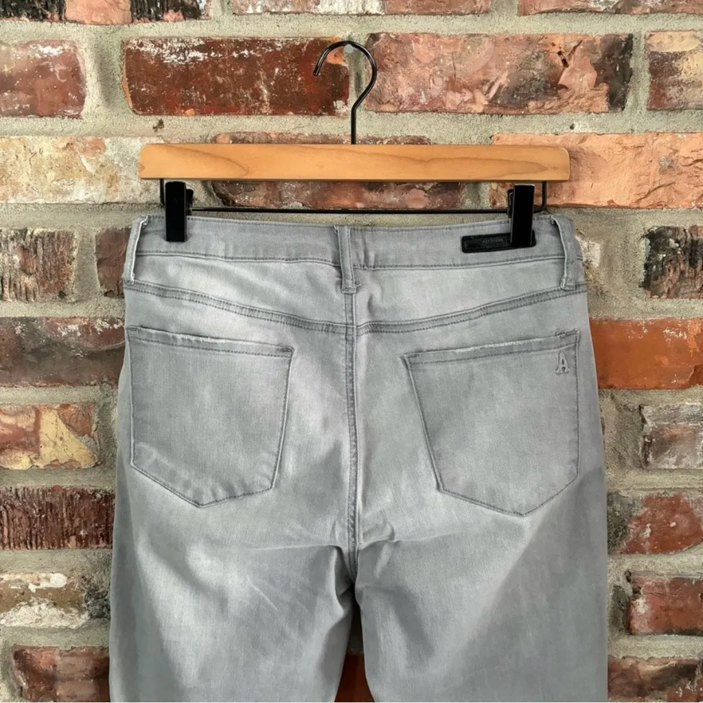 Articles Of Society Gray High Rise Skinny Jeans, 29 - Image 6