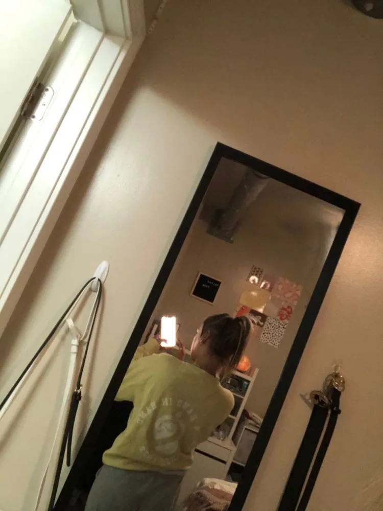 Comfort Colors Alpha Phi Crew neck  - Image 5