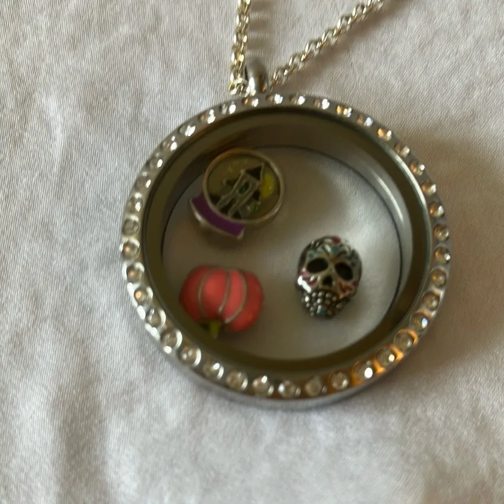 Origami Owl: Halloween Silver Tone Locket Necklace - Image 3