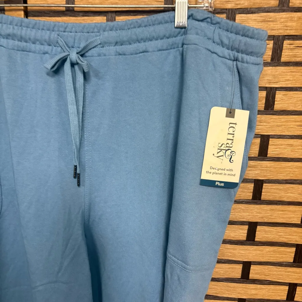 Terra‎ & Sky Blue Pull On Capris Size 3X - Image 3