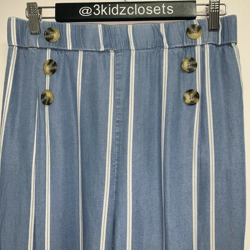 Appraisal Womens Capri Pants Size XL Blue White Striped Lyocell Casual Summer - Image 3