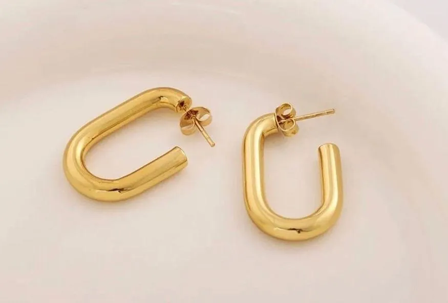 Round Planting Stainless Steel 18K gold‎ plated Hoop Earrings Gold - Image 2