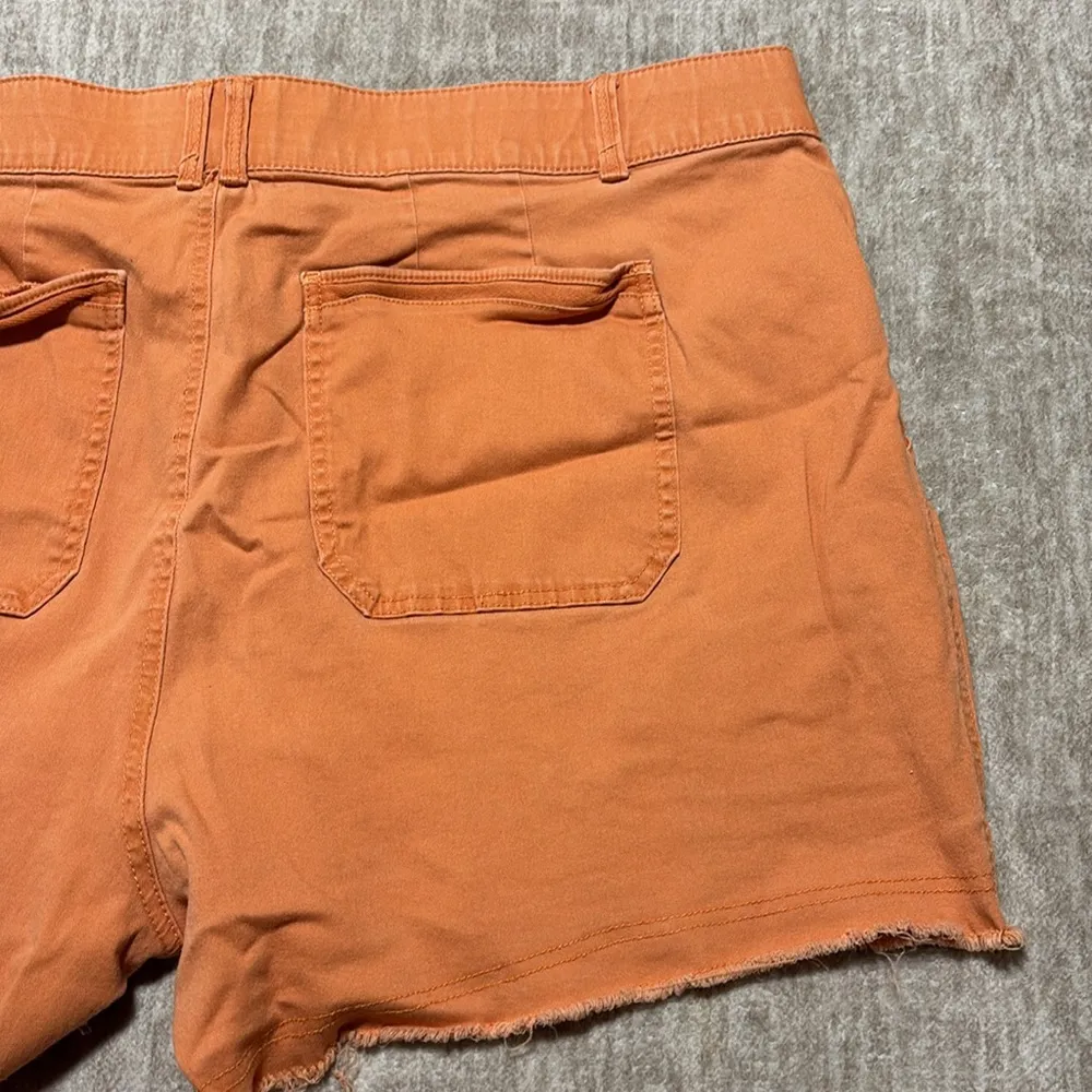 24W Democracy "Ab"solution orange cut off shorts plus size - Image 4