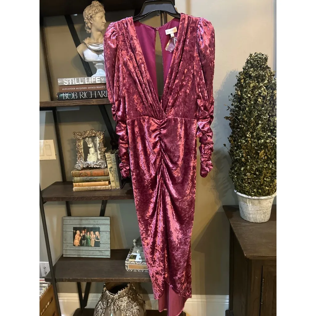 Ronny Kobo Velvet Alicia Dress Wine Purple Red Womens Size Medium - Image 6