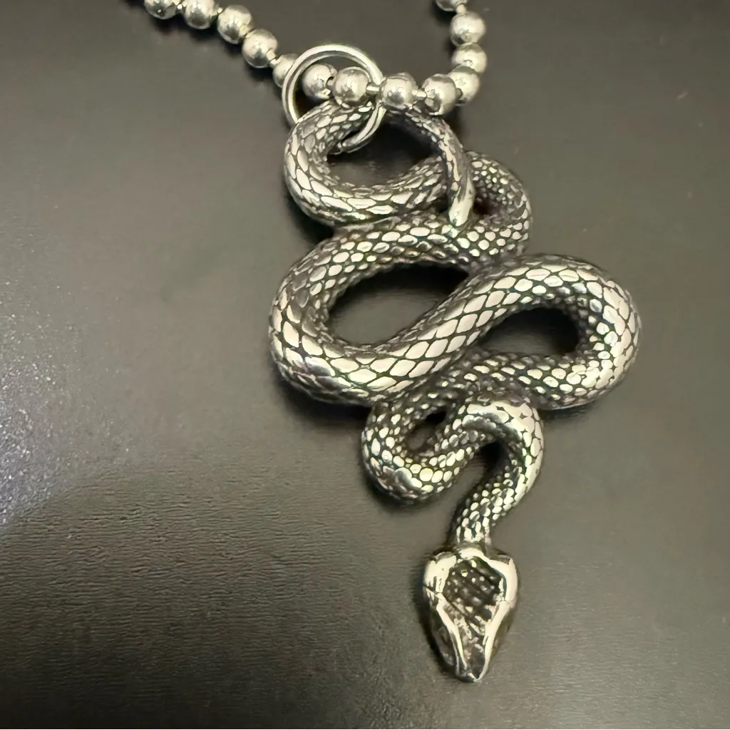 Believe by Brilliance Stainless Steel Serpent Snake Pendant Ball Chain Necklace Silver - Image 6
