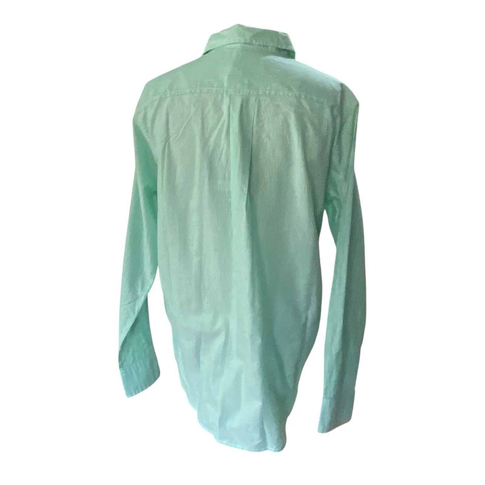 Everlane The Relaxed Fit Oxford Shirt Women New Green Pinstripe Button size 00 - Image 3