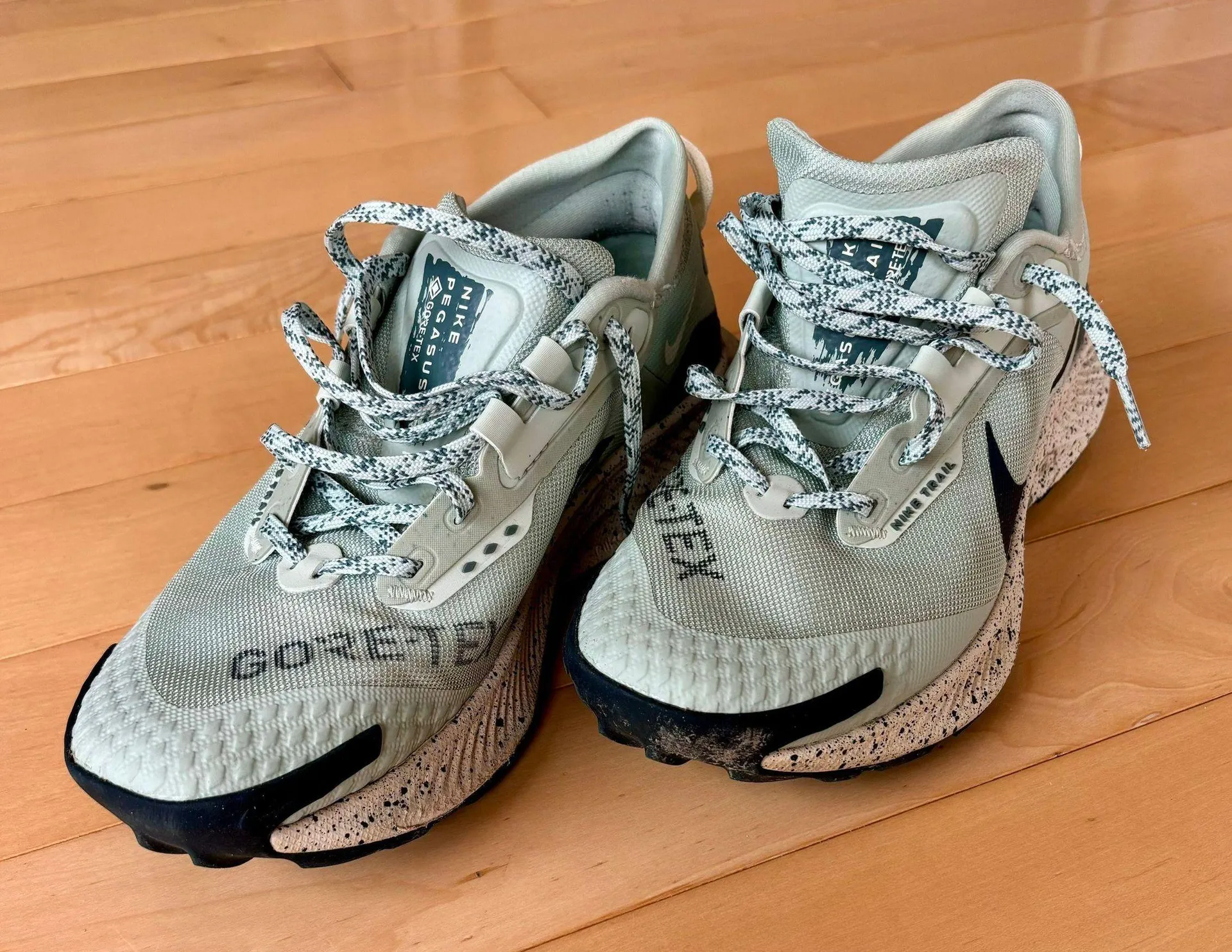 Women’s Pegasus Trail 3 GTX - Image 3