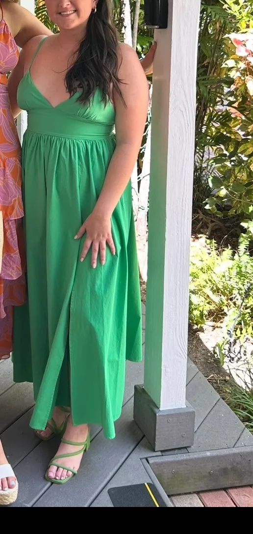 Showpo Dress - Image 4