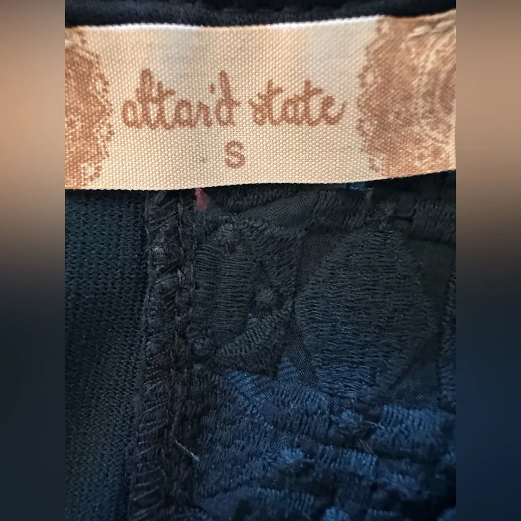 Alter'd State Dress Size S Teal Lace A-Line Mini Dress Pleats Short Sleeveless - Image 4