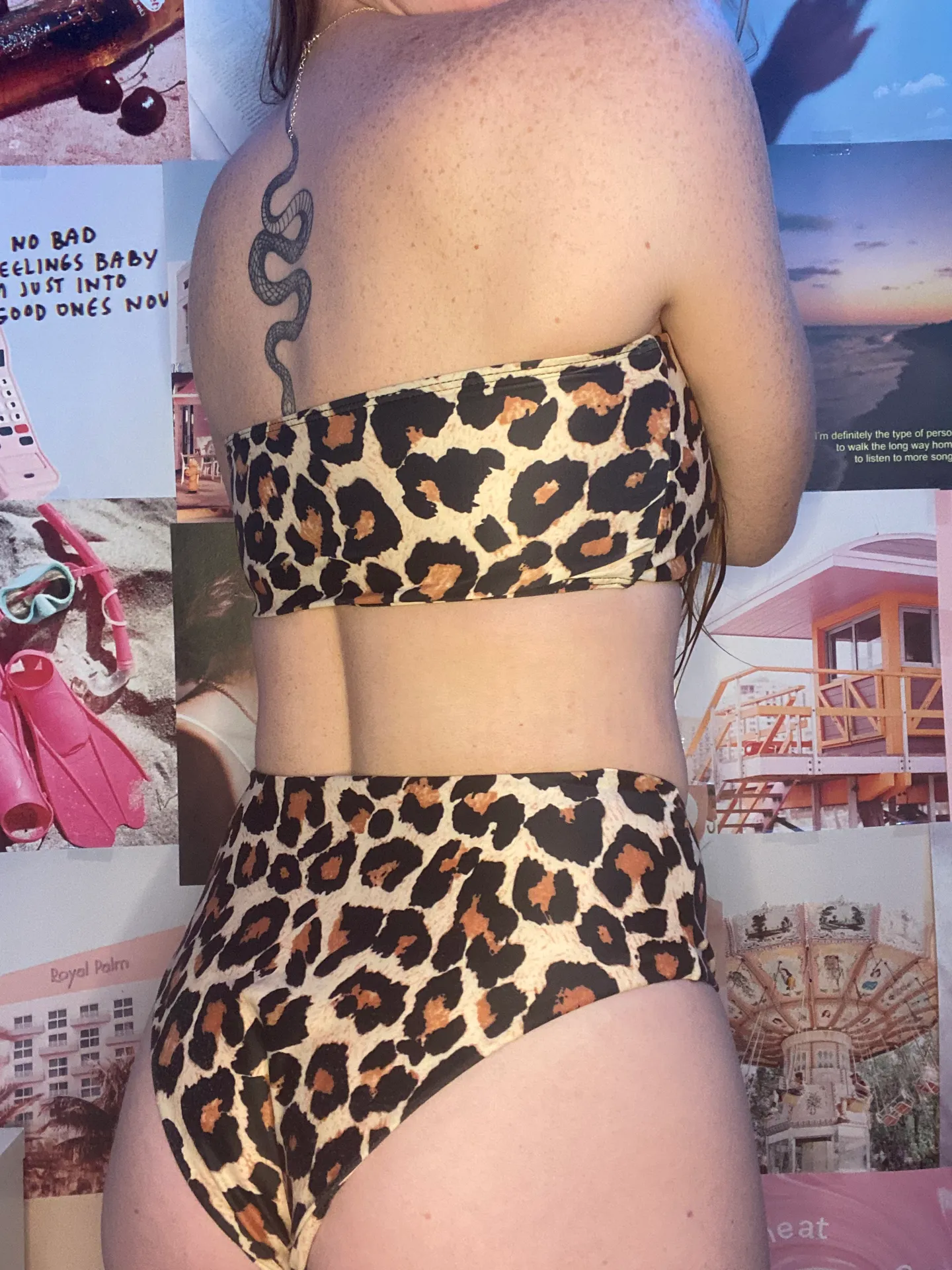 Amazon Cheetah Print Bikini Set - Image 3