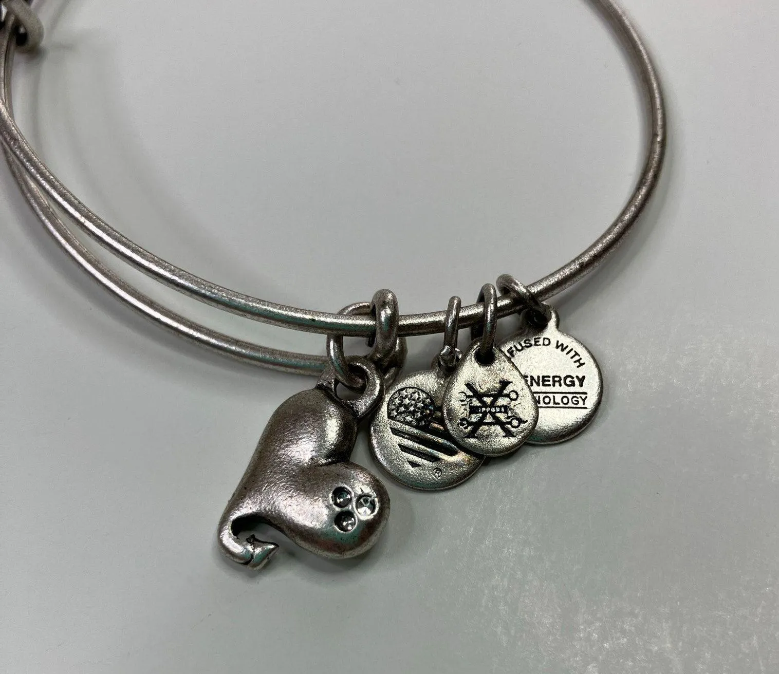 Alex & Ani Silver Cupid's Heart Bangle Charm Bracelet - Image 2