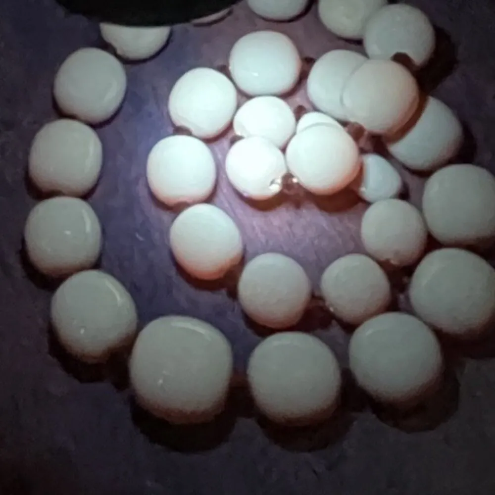 Antique Genuine Baltic Amber Egg Yolk Butterscotch Caramel Necklace Barrel Clasp Orange - Image 10