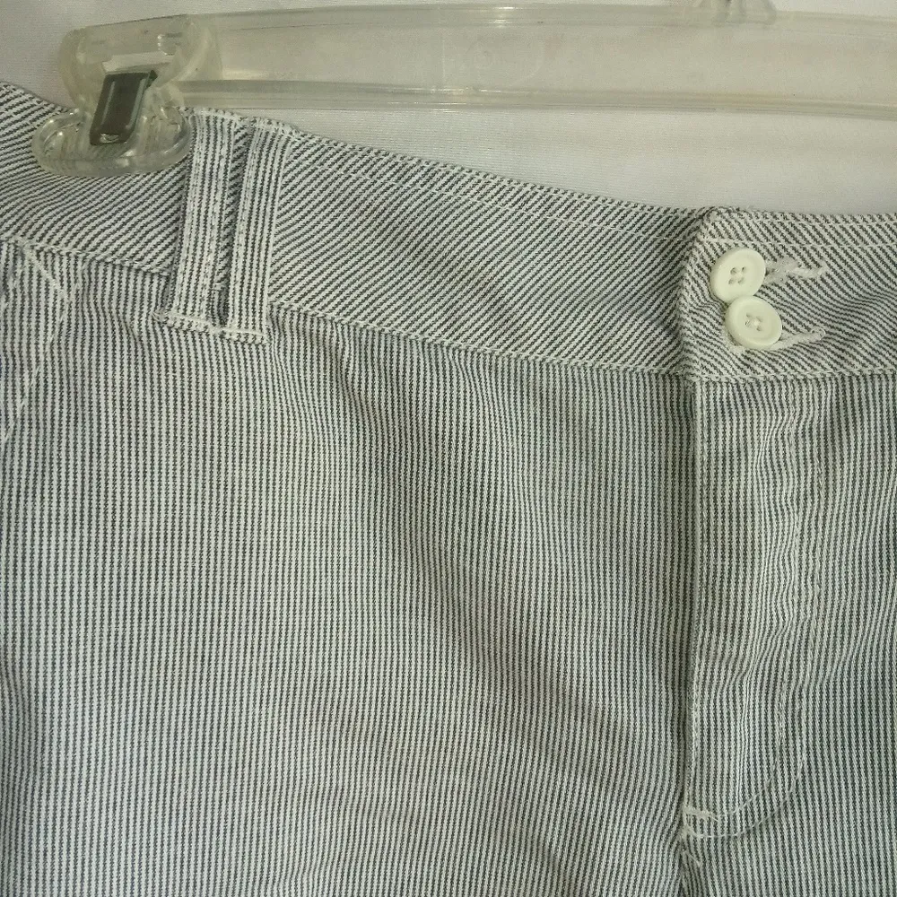 FG 14 Navy White Micro Pinstriped Shorts  Plus - Image 2