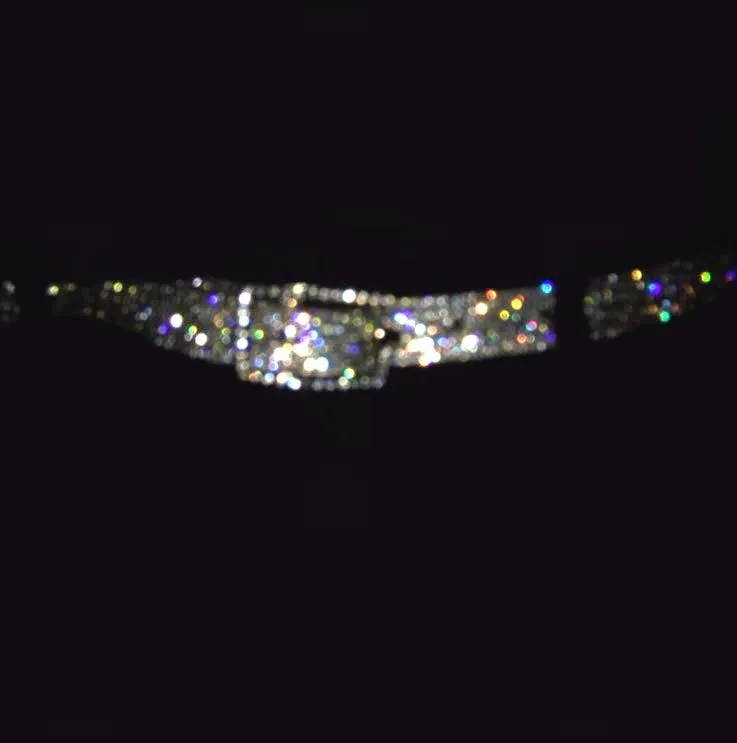 Sparkle Rhinestone Belt - Image 4