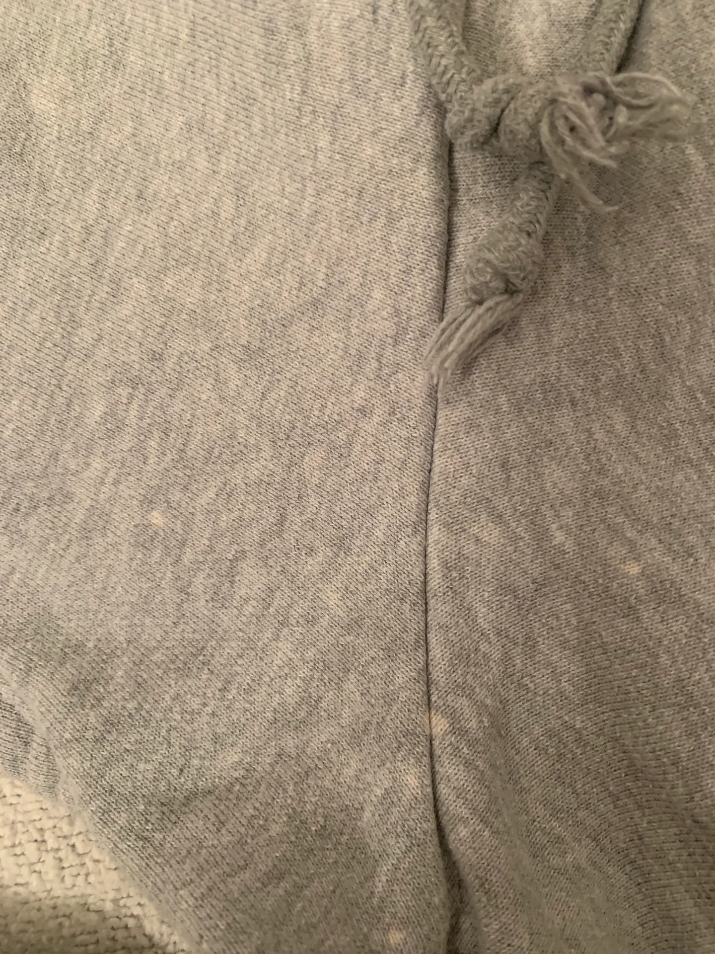 Champion Shorts - Image 5