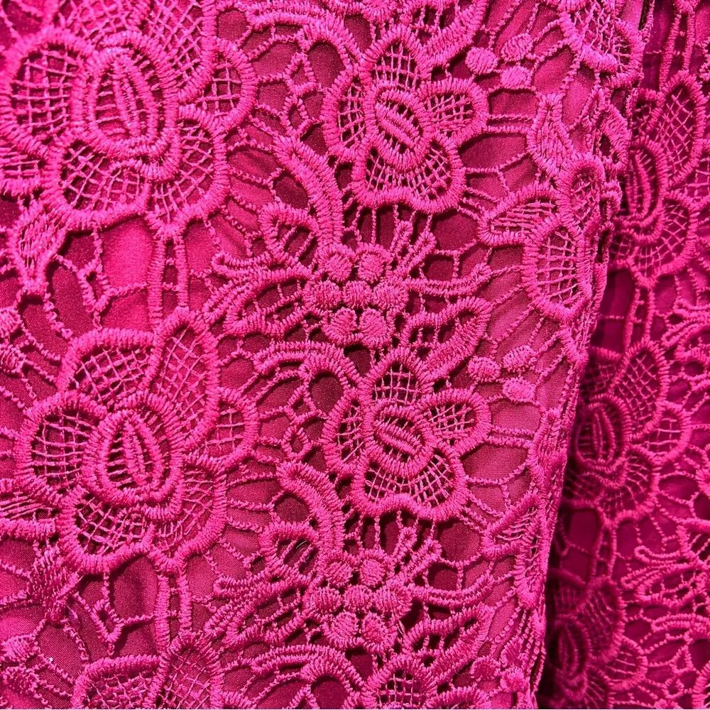 Nanette by Nanette Lepore Heavy Lace in Dark Red/Cranberry A-Line Silhouette-6 - Image 6