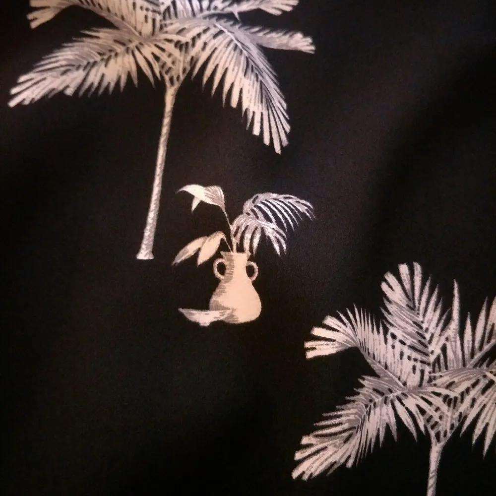 New Plam Tree Top Anne Talor - Image 7