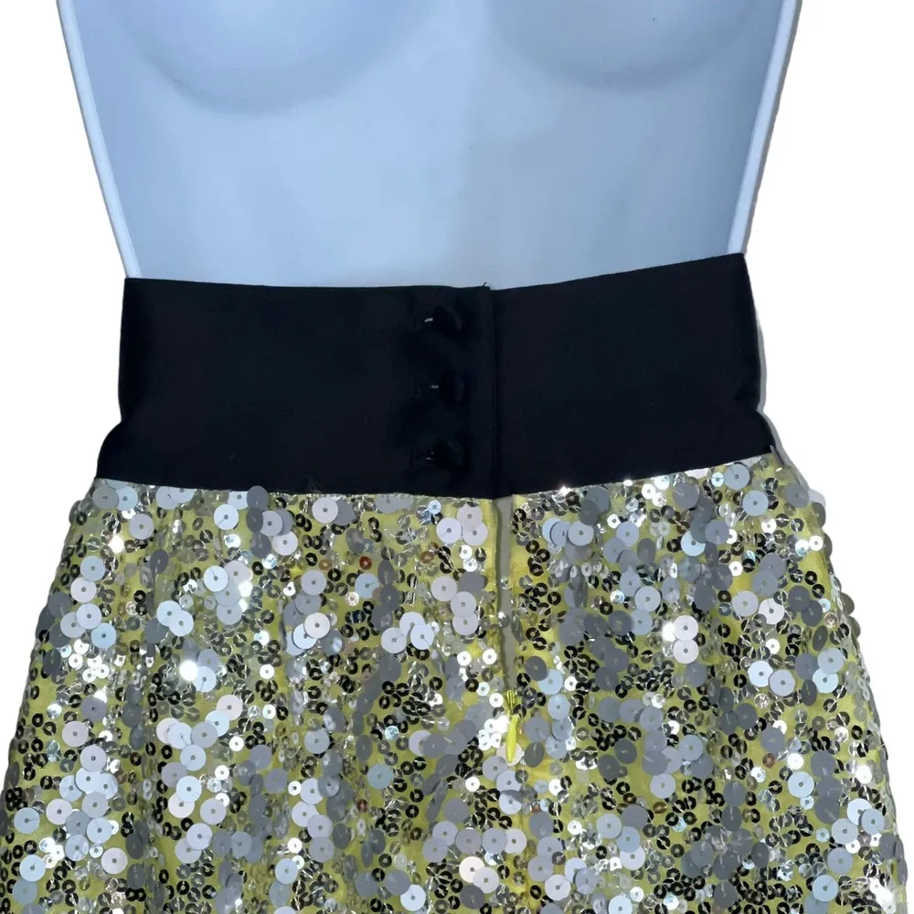 Robert Rodriguez Pencil Skirt Sequined Lemonchello Black Band - Image 4