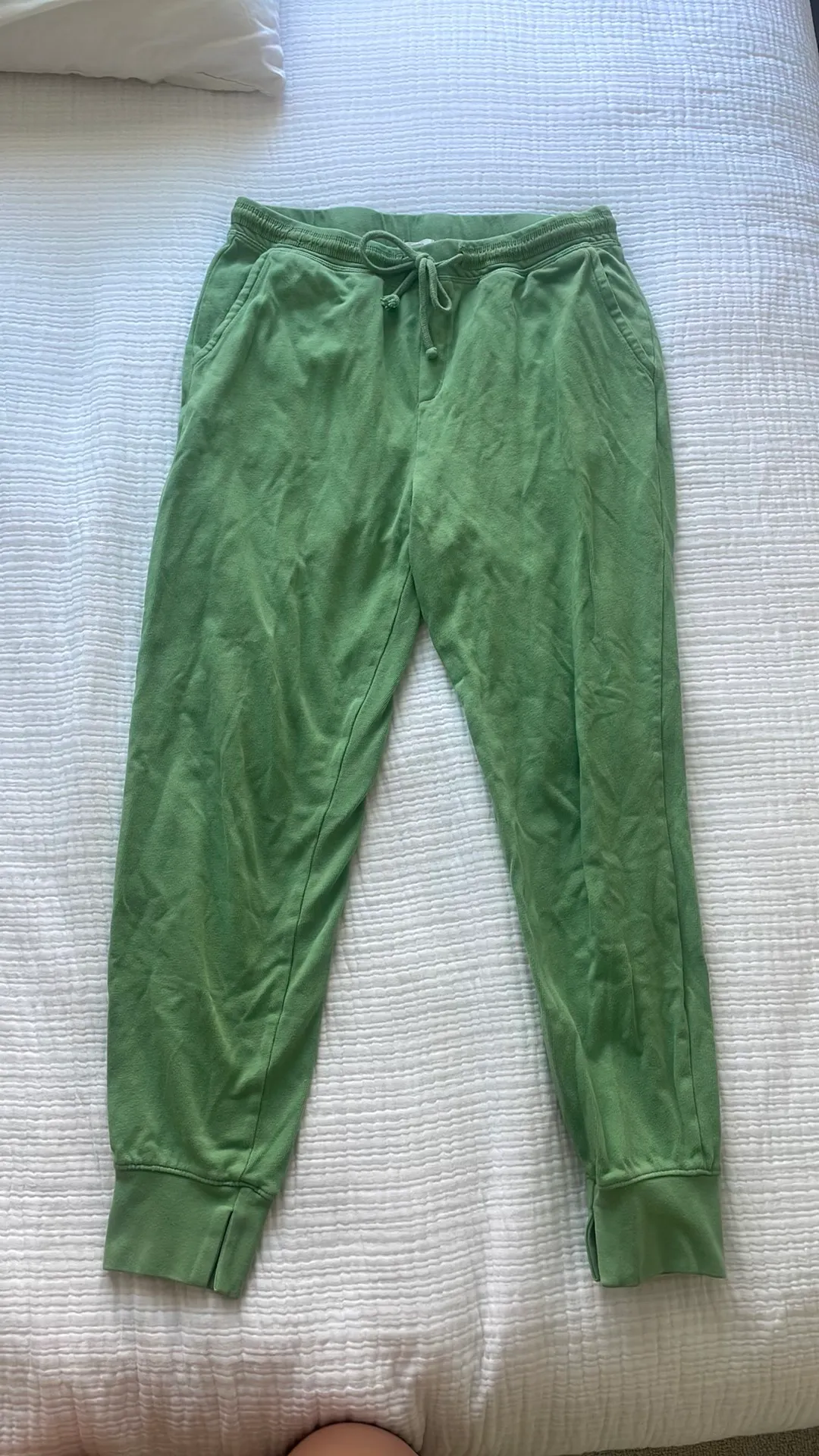 Aerie Green Cozy  Sweatpants - Image 4
