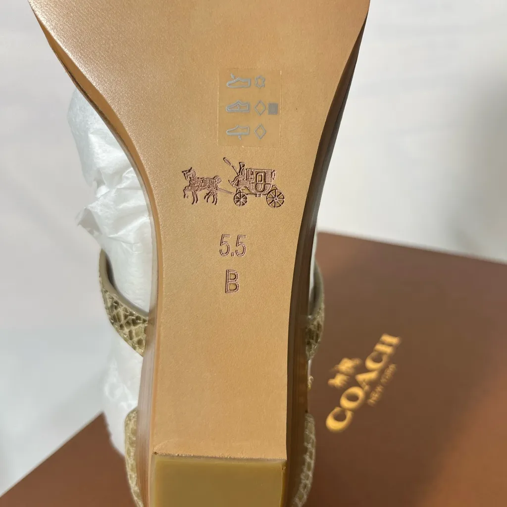 COACH INGRID NATURAL SNAKE PRINT SANDAL WOMEN SZ 5.5 NATURAL NEW IN BOX - Image 6