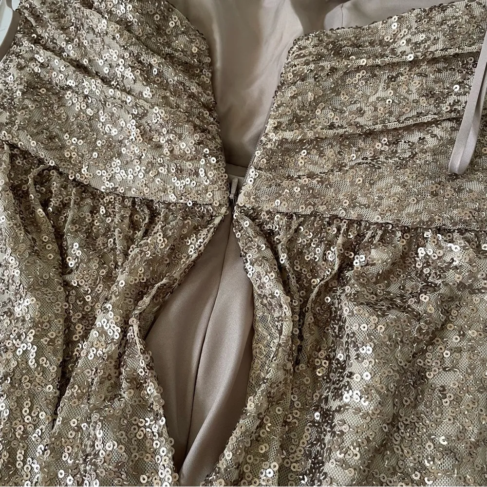 Amsale Dresses Amsale London Sequin Tulle Strapless Column Maxi Gown In Gold Sz8 Size 8 - Image 10