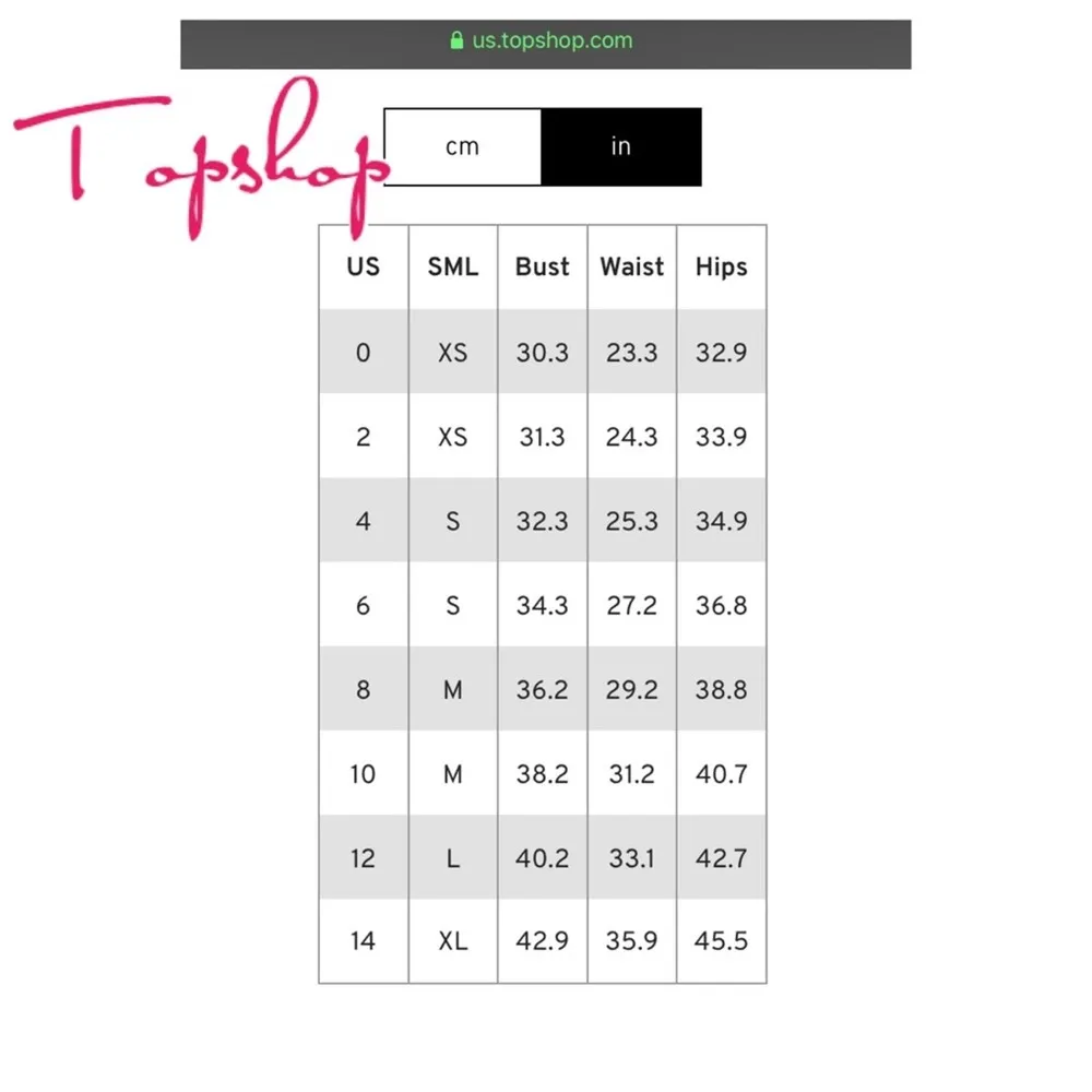 TopShop Beige Tiger Embroidered Duster Jacket Sz.2 - Image 14