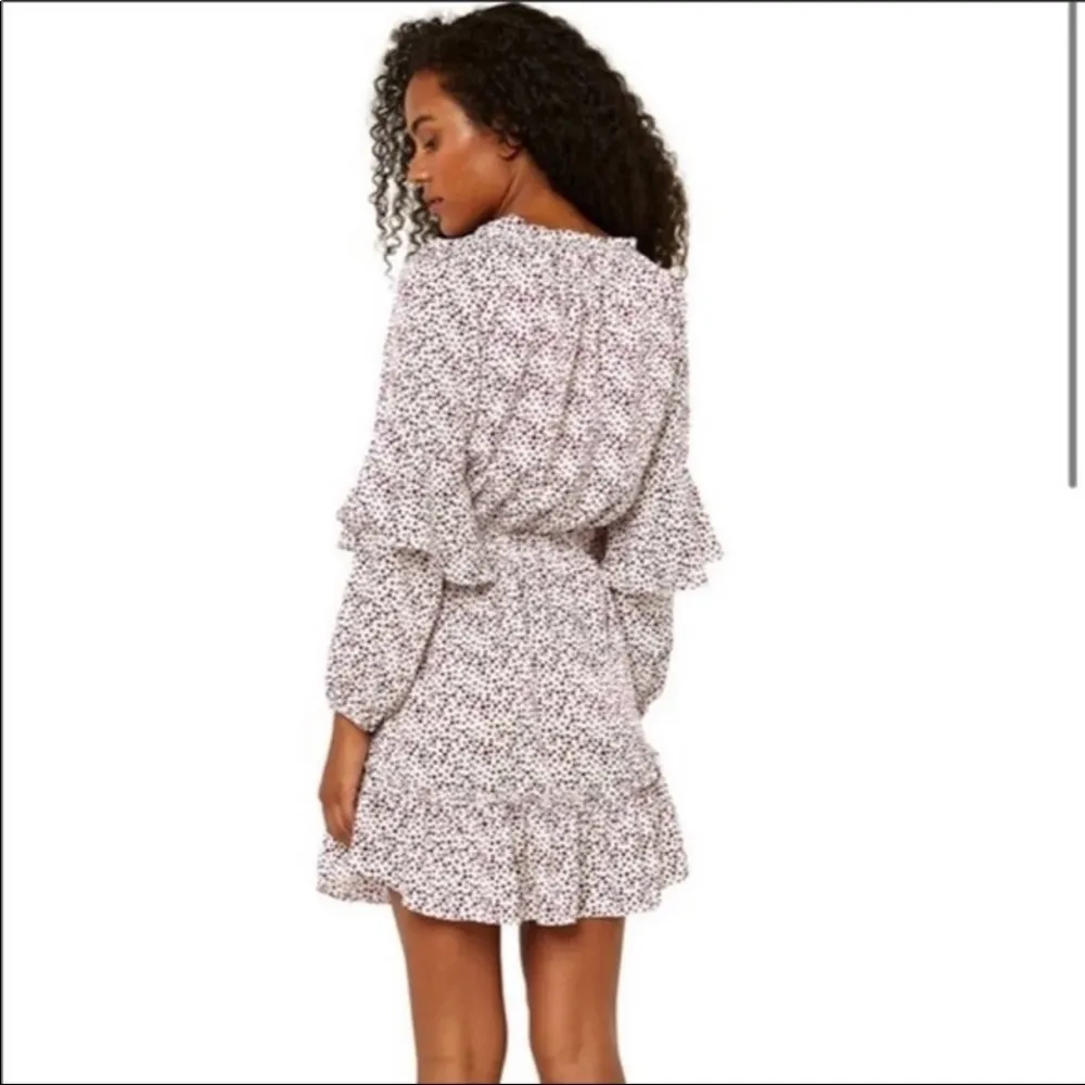 Misa  Los Angeles Nehda Dotted Mini Dress - Image 6