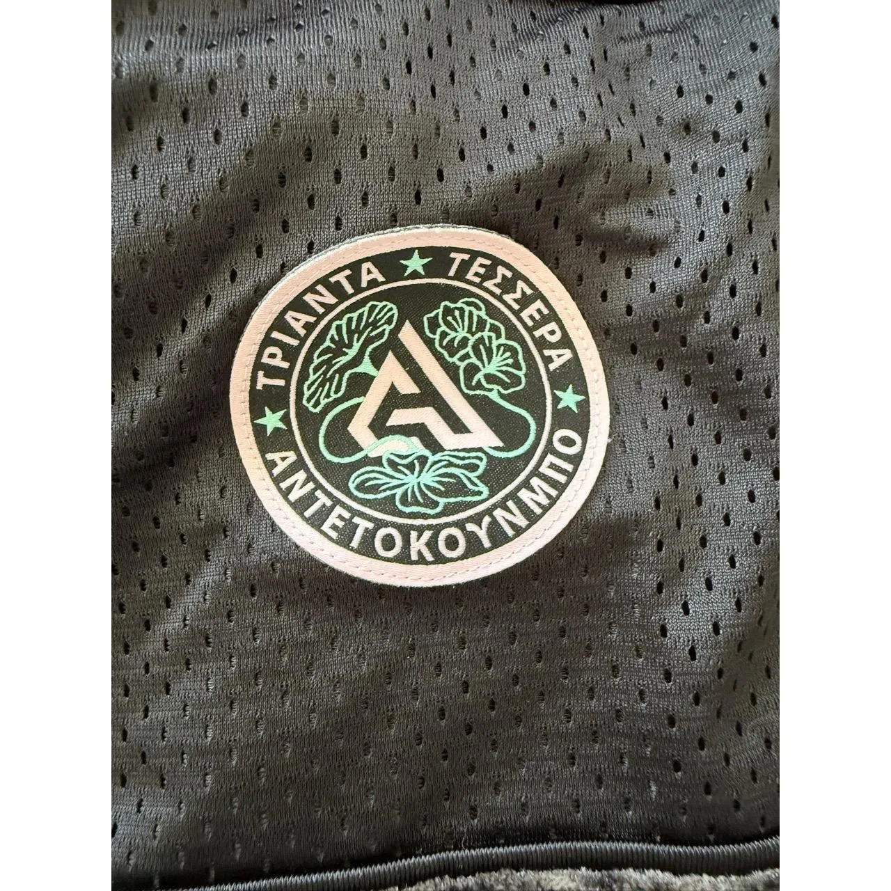 Nike Giannis Freak Velour Tracksuit Set Medium - Image 7