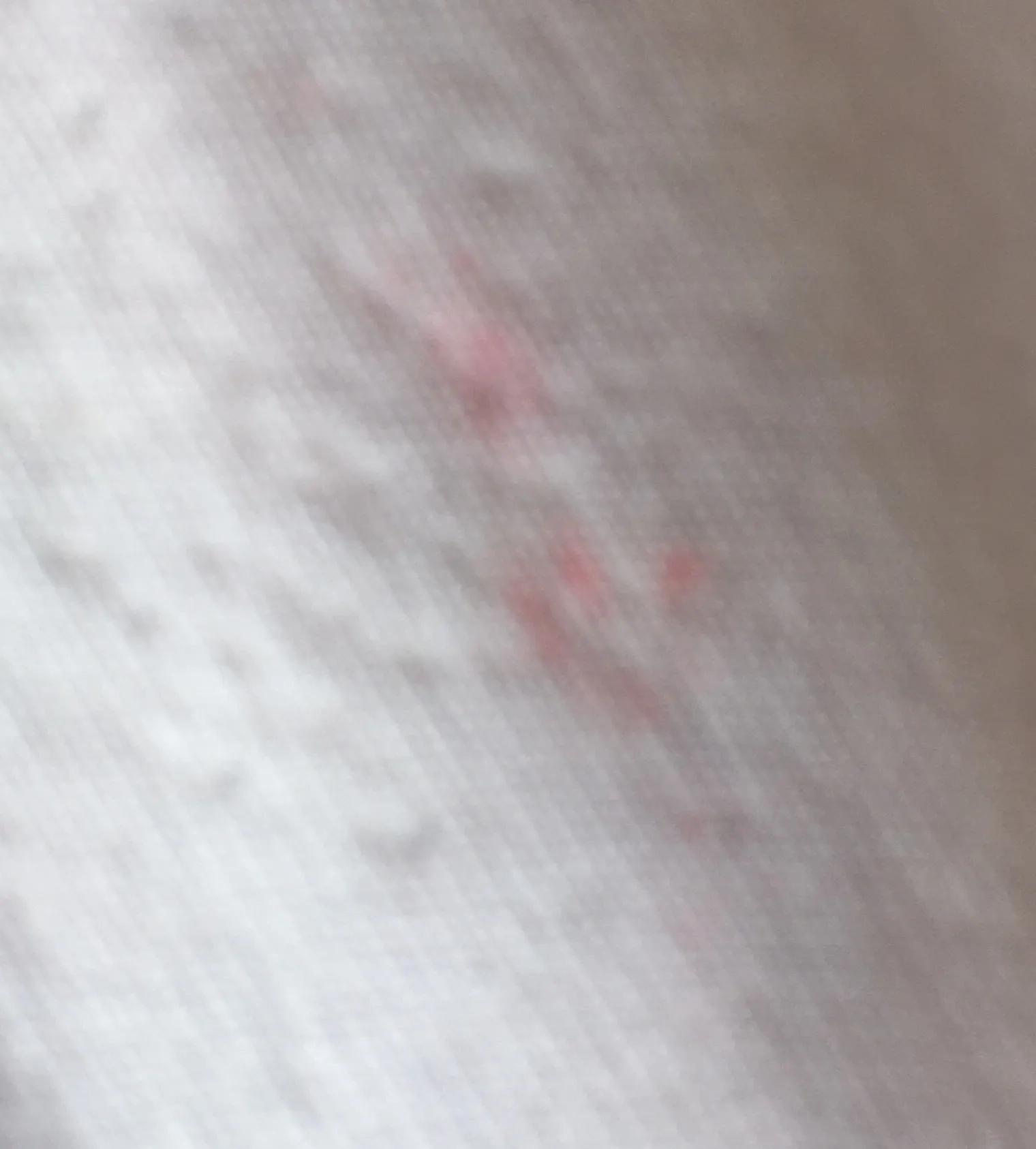 Hollister Long Sleeve - Image 3