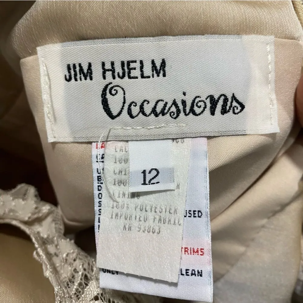 Vintage Jim Hjelm Champaign Long Satin and Lace Occasions Dress Gown Wedding Tan Size 6 - Image 8