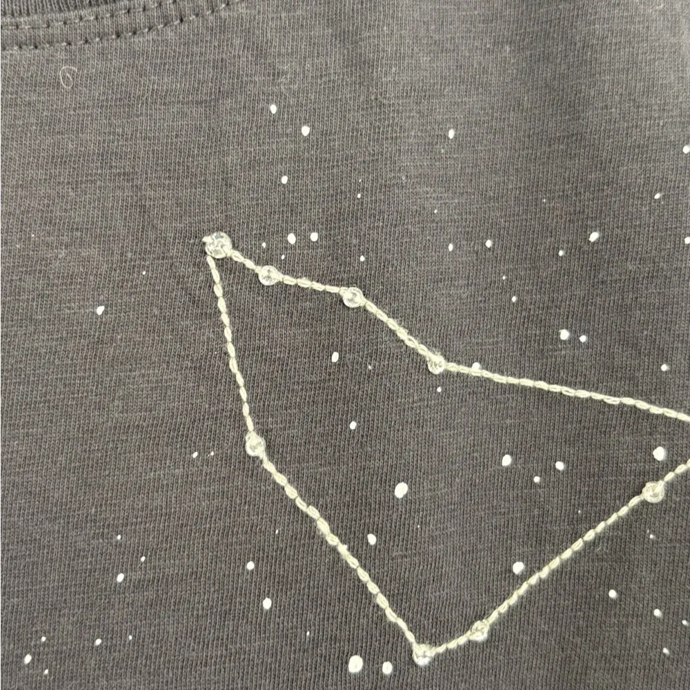 J.Crew Capricorn horoscope zodiac astrology T- shirt graphic tee size small - Image 8