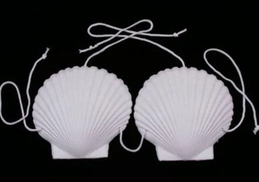 NWT Mermaid Luau Sea Shell Bikini White - Image 2