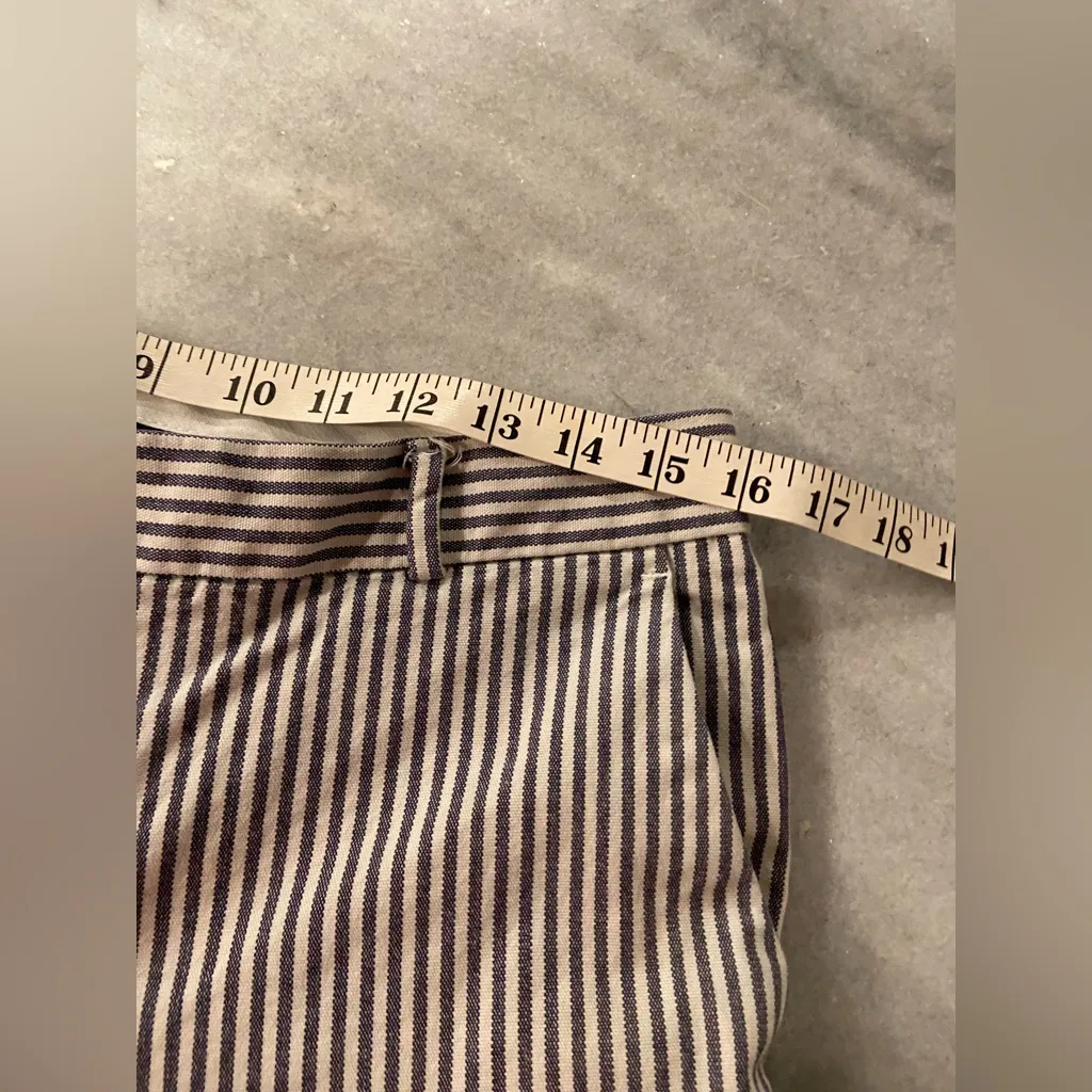 Banana Republic Size 8 Navy Blue White Stripe Cotton Stretch Zip Up Chino Shorts - Image 12