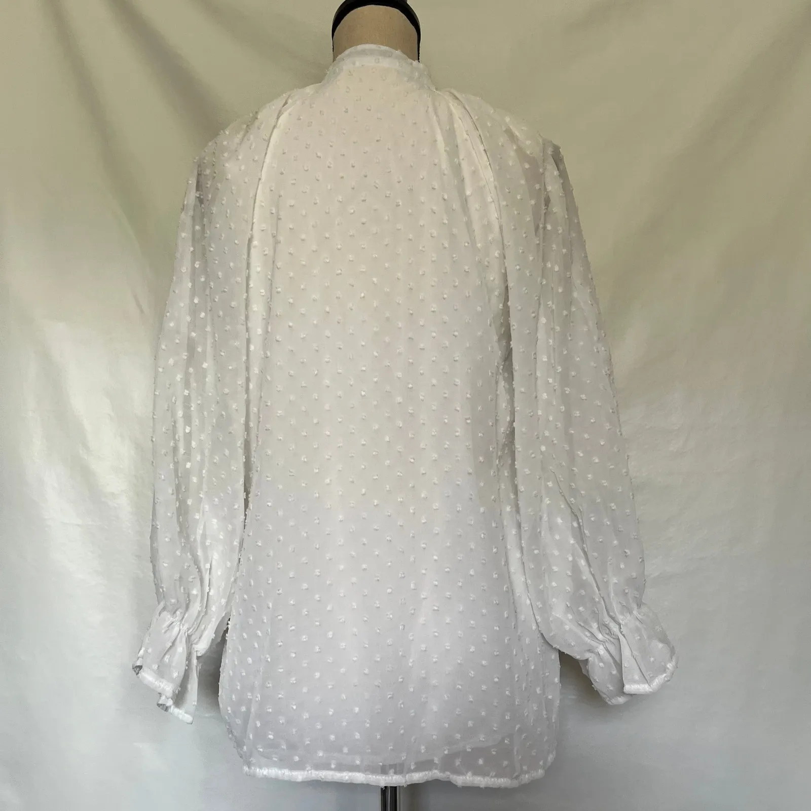 Chic Me Swiss Dot Blouse Sz M Boho Cottagecore Fairy Sheer Coquette White Indie Size M - Image 8