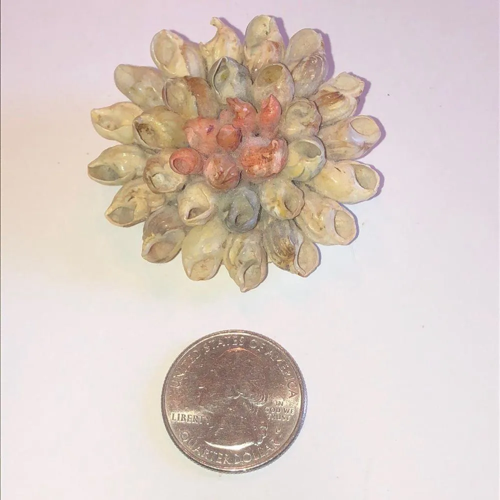 Vintage Delicate Shells Round Boho Brooch Shoulder Pin Red - Image 2