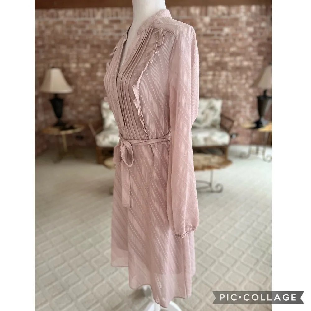 Nanette Lepore Mauve Pink Pintuck Swiss Dot Knee Length Dress 8 - Image 14