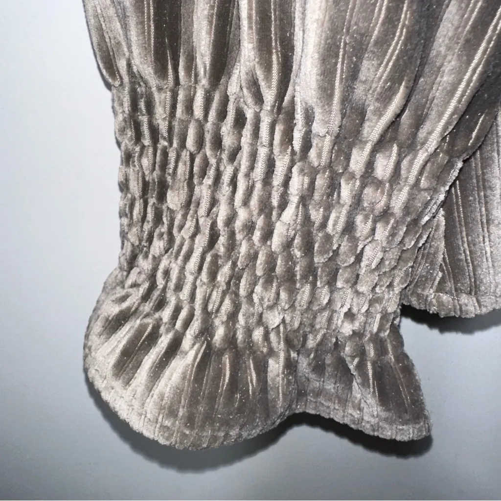 NWT BRAVE + TRUE Fossil Lexington Blouse Velvet Mockneck - Image 5